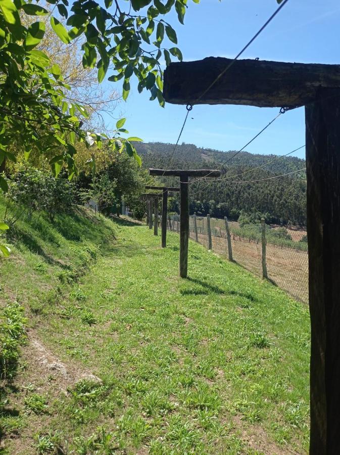 Apartamentos Rio Eo San Tirso de Abres Dış mekan fotoğraf