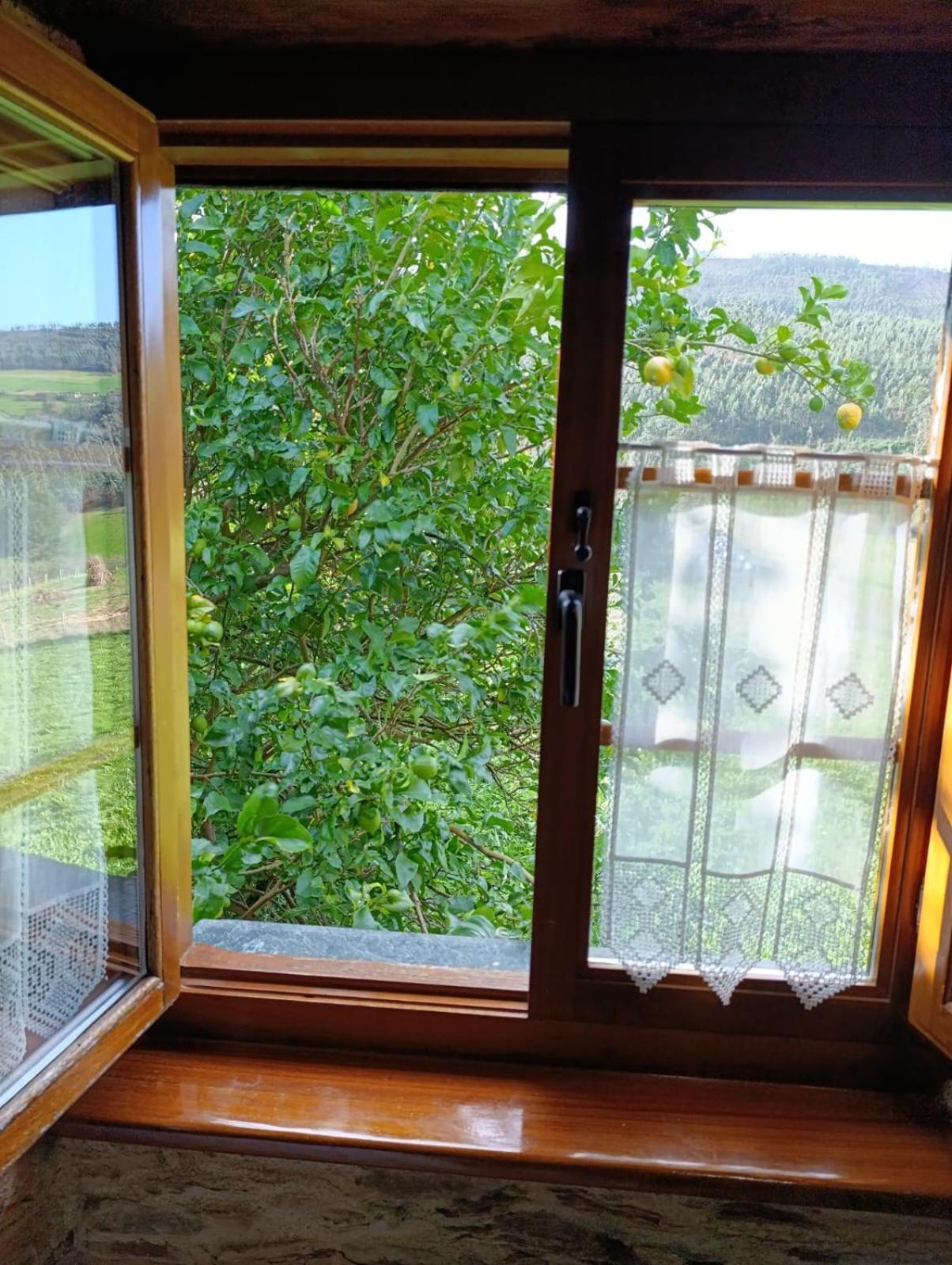 Apartamentos Rio Eo San Tirso de Abres Dış mekan fotoğraf